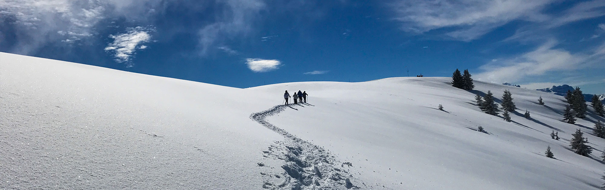 Mont-Blanc Joux plane